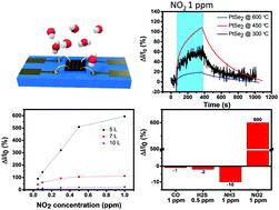 Graphical abstract: Highly sensitive, selective and stable NO2 gas sensors with a ppb-level detection limit on 2D-platinum diselenide films