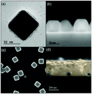 Graphical abstract: Localized surface plasmon effects on the photophysics of perovskite thin films embedding metal nanoparticles