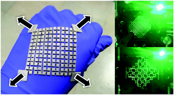 Graphical abstract: High-performance, biaxially stretchable conductor based on Ag composites and hierarchical auxetic structure