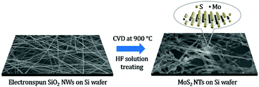 Graphical abstract: Nanowire templated CVD synthesis and morphological control of MoS2 nanotubes