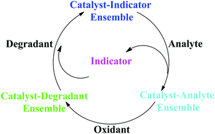 Graphical abstract: Catalyst + chemodosimeter → chemosensor: incorporation of catalytic functionality in an indicator displacement assay to realize reversible chemosensing detection