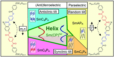 Graphical abstract: Controlling the formation of heliconical smectic phases by molecular design of achiral bent-core molecules