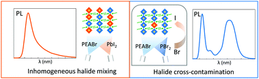 Graphical abstract: Dual-source vacuum deposition of pure and mixed halide 2D perovskites: thin film characterization and processing guidelines