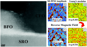 Graphical abstract: Interfacial strain driven magnetoelectric coupling in (111)-oriented self-assembled BiFeO3–CoFe2O4 thin films