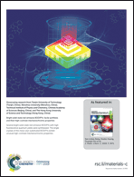 Graphical abstract: Inside back cover