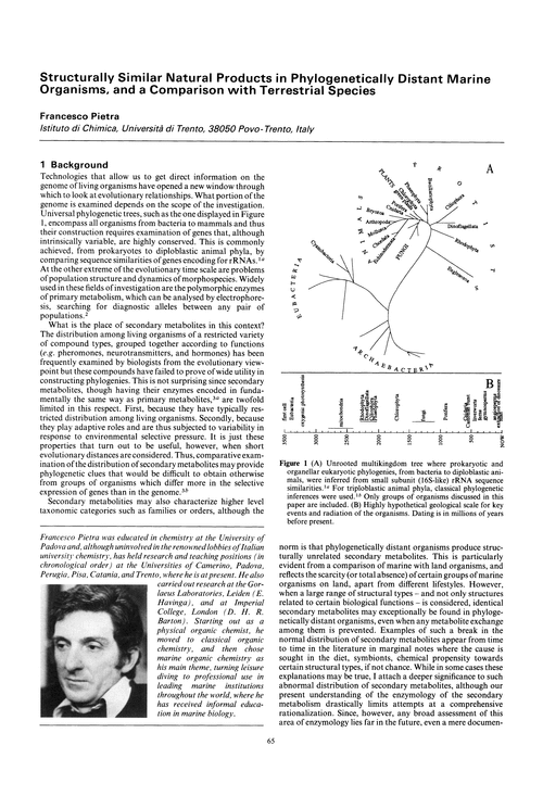 Structurally similar natural products in phylogenetically distant marine organisms, and a comparison with terrestrial species