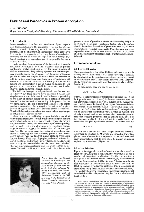 Puzzles and paradoxes in protein adsorption