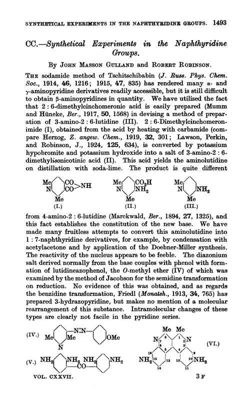 CC.—Synthetical experiments in the naphthyridine groups