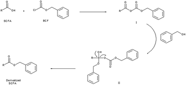 Graphical abstract: A sensitive method for the quantification of short-chain fatty acids by benzyl chloroformate derivatization combined with GC-MS