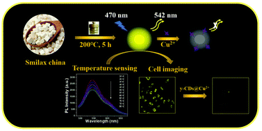 Graphical abstract: Smilax China-derived yellow-fluorescent carbon dots for temperature sensing, Cu2+ detection and cell imaging