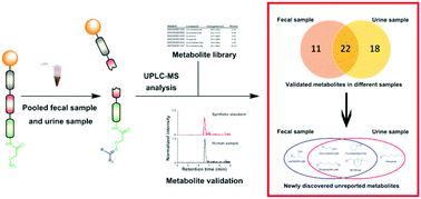 Graphical abstract: Sensitive mass spectrometric analysis of carbonyl metabolites in human urine and fecal samples using chemoselective modification