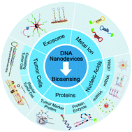 Graphical abstract: Application of DNA nanodevices for biosensing