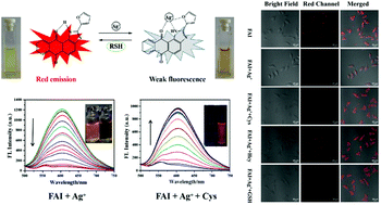 Graphical abstract: An anthraquinone-imidazole-based colorimetric and fluorescent sensor for the sequential detection of Ag+ and biothiols in living cells