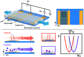 Graphical abstract: An integrated microfluidic platform for selective and real-time detection of thrombin biomarkers using a graphene FET