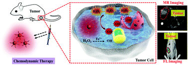 Graphical abstract: Multifunctional red carbon dots: a theranostic platform for magnetic resonance imaging and fluorescence imaging-guided chemodynamic therapy
