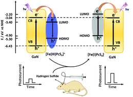 Graphical abstract: A homogeneous photoelectrochemical hydrogen sulfide sensor based on the electronic transfer mediated by tetrasulfophthalocyanine