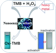 Graphical abstract: Recent developments of nanoenzyme-based colorimetric sensors for heavy metal detection and the interaction mechanism