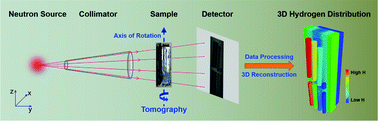 Graphical abstract: Three-dimensional hydrogen distribution and quantitative determination of titanium alloys via neutron tomography