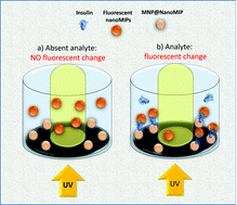 Graphical abstract: Molecularly imprinted nanoparticles-based assay (MINA) – detection of leukotrienes and insulin