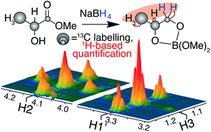 Graphical abstract: Sensitive NMR method for detecting carbohydrate influx into competing chemocatalytic pathways