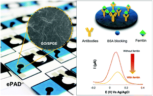 Graphical abstract: Cost-effective paper-based electrochemical immunosensor using a label-free assay for sensitive detection of ferritin