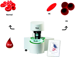 Graphical abstract: Development of a novel test for the identification of hereditary erythrocyte membrane defects by TGA/Chemometrics