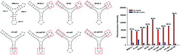 Graphical abstract: A cost-effective fluorescence biosensor for cocaine based on a “mix-and-detect” strategy