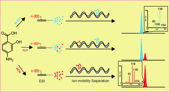 Graphical abstract: LC-MS analysis of p-aminosalicylic acid under electrospray ionization conditions manifests a profound solvent effect