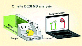 Graphical abstract: Autarkic desorption electrospray ionization source for on-site analysis of consumer goods