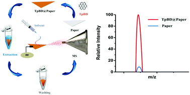 Graphical abstract: Covalent organic frameworks-based paper solid phase microextraction combined with paper spray mass spectrometry for highly enhanced analysis of tetrabromobisphenol A