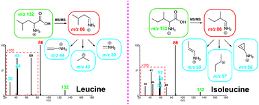 Graphical abstract: A computational and experimental study of the fragmentation of l-leucine, l-isoleucine and l-allo-isoleucine under collision-induced dissociation tandem mass spectrometry