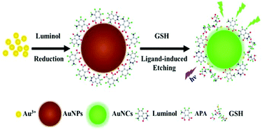 Graphical abstract: A novel turn-on fluorescent sensor for the sensitive detection of glutathione via gold nanocluster preparation based on controllable ligand-induced etching