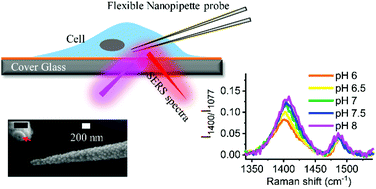 Graphical abstract: Dynamic single-cell intracellular pH sensing using a SERS-active nanopipette