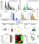 Graphical abstract: Simultaneous quantitative determination of arachidonic acid and cascade metabolites in rat serum by UPLC-MS/MS: application for longitudinal metabolomics of anlotinib