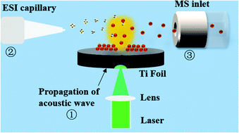 Graphical abstract: Laser-induced acoustic desorption coupled with electrospray ionization mass spectrometry for rapid qualitative and quantitative analysis of glucocorticoids illegally added in creams