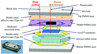 Graphical abstract: A plasma separator with a multifunctional deformable chamber equipped with a porous membrane for point-of-care diagnostics