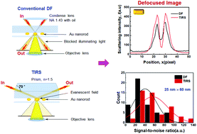 Graphical abstract: Single-particle spectroscopy and defocused imaging of anisotropic gold nanorods by total internal reflection scattering microscopy