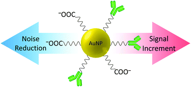 Graphical abstract: Surface optimization of gold nanoparticle mass tags for the sensitive detection of protein biomarkers via immuno-capture LI-MS