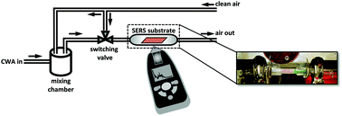 Graphical abstract: Surface-enhanced Raman spectroscopy (SERS) for detection of VX and HD in the gas phase using a hand-held Raman spectrometer