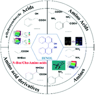 Graphical abstract: Recent advances of BINOL-based sensors for enantioselective fluorescence recognition