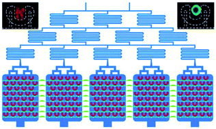 Graphical abstract: An integrated microfluidic 3D tumor system for parallel and high-throughput chemotherapy evaluation