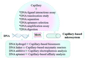 Graphical abstract: How does DNA ‘meet’ capillary-based microsystems?