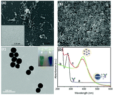 Graphical abstract: In situ amplified QCM immunoassay for carcinoembryonic antigen with colorectal cancer using horseradish peroxidase nanospheres and enzymatic biocatalytic precipitation