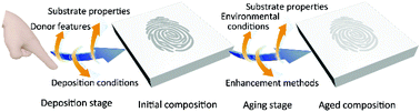 Graphical abstract: Advances in fingermark age determination techniques