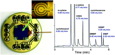 Graphical abstract: A micro passive preconcentrator for micro gas chromatography