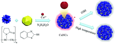 Graphical abstract: Orange-red emitting copper nanoclusters for endogenous GSH, temperature sensing, and cellular imaging