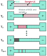 Graphical abstract: On a separation voltage polarity switching transient capillary isotachophoresis method for higher sample loading capacity and better separation performance