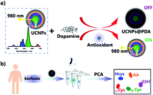 Graphical abstract: A single-component yet multifunctional tongue-mimicking sensor array for upconversion fluorescence biosensing