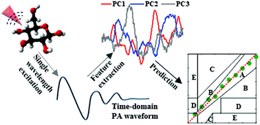 Graphical abstract: Time-domain photoacoustic waveform analysis for glucose measurement