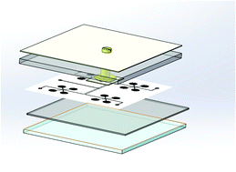 Graphical abstract: A multiplex and fast detection platform for microRNAs based on a self-priming microfluidic chip and duplex-specific nuclease